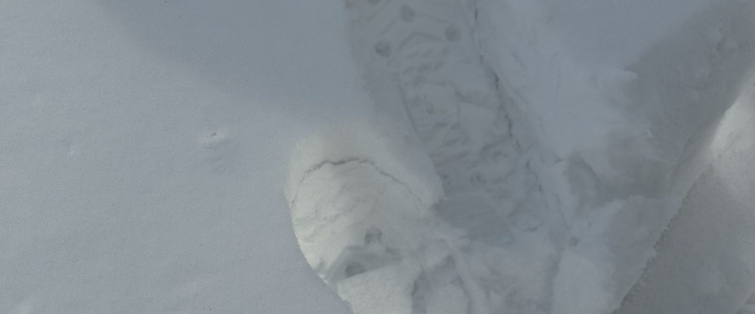 Tim & Christine Blog